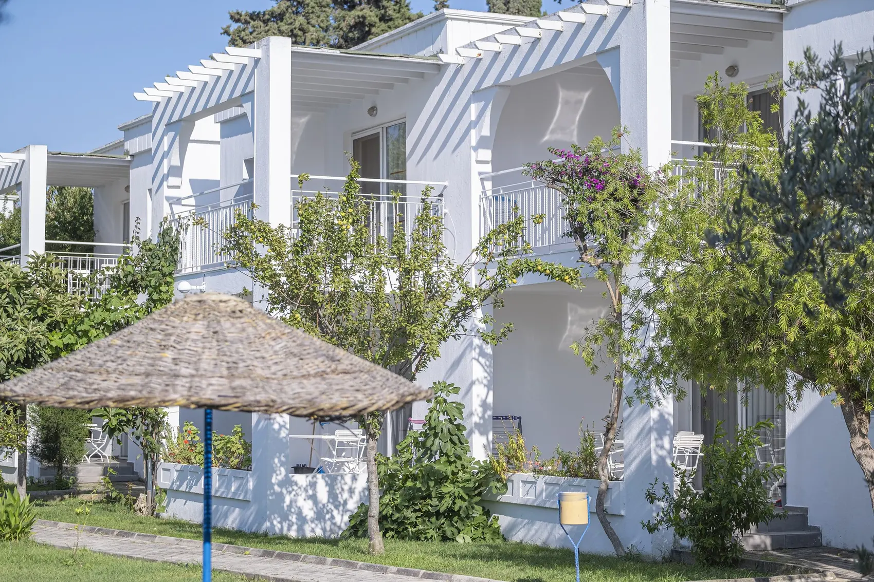 Apart binası ve bahçe